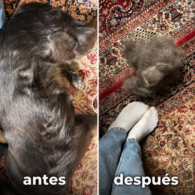 Quitapelos pro™