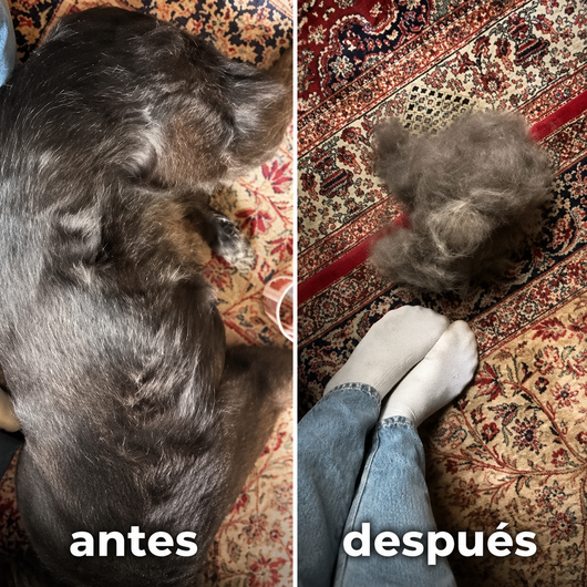 Quitapelos pro™